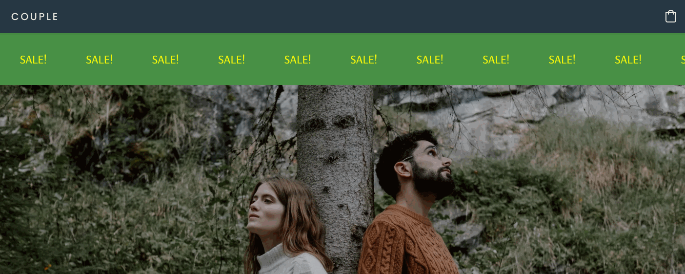 Adding promo bars to Instant Site 1.gif