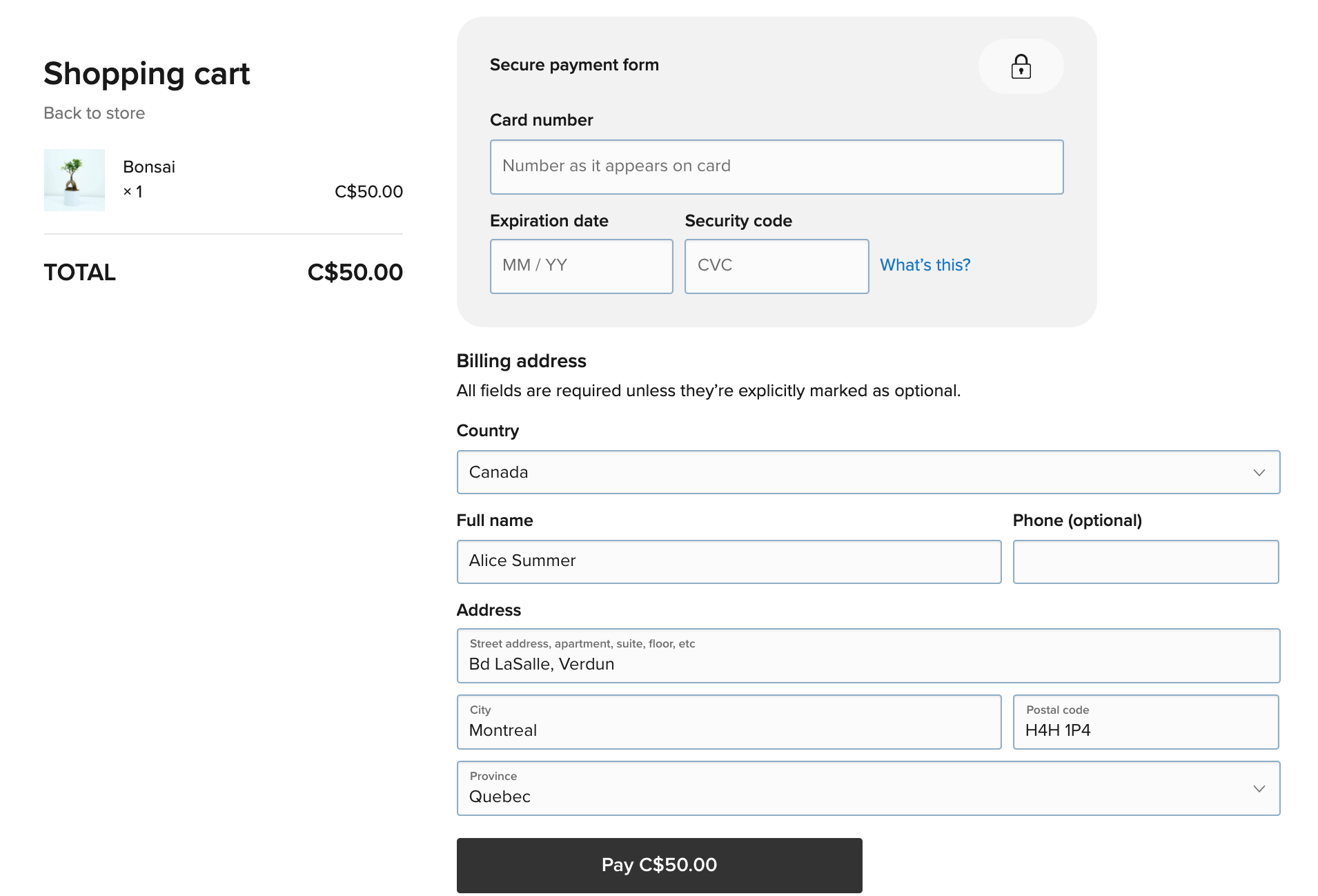 Lightspeed Payments (2).png