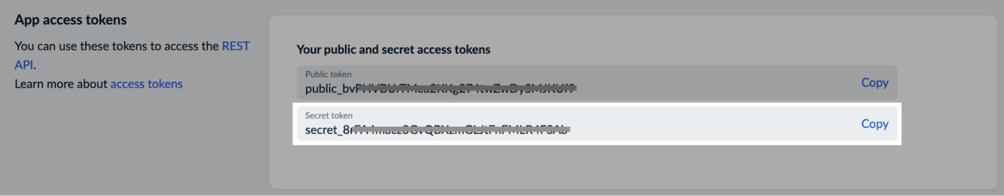 Show secret token.png